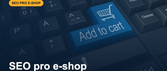 hero-seo-pro-eshop